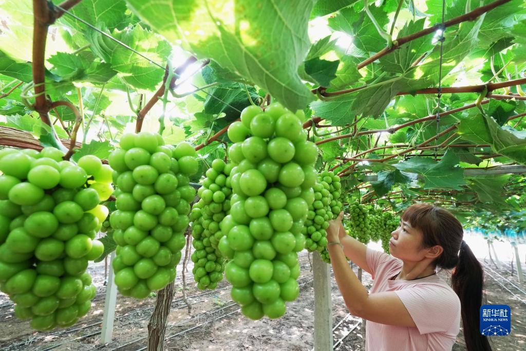 网上现金斗地